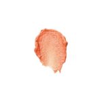 Bobbi-Brown-Lip-Color_2-1